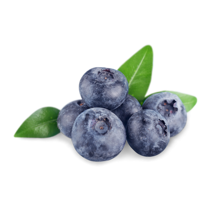 Blueberry (Impported)