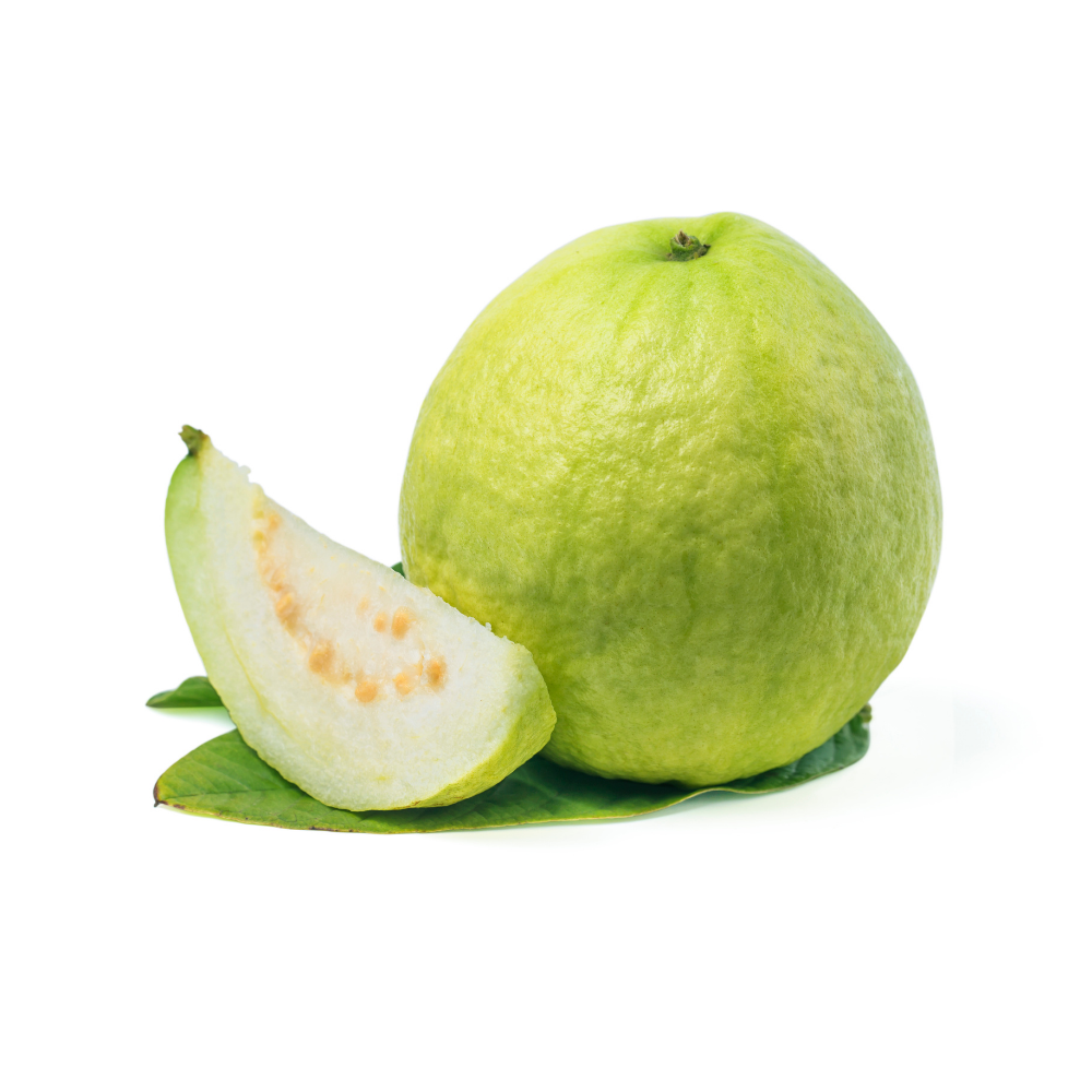 Guava- White