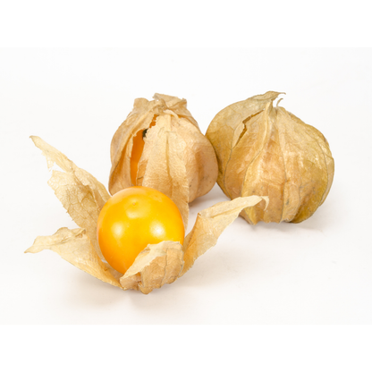 Rashbhari (Cape Gooseberry)