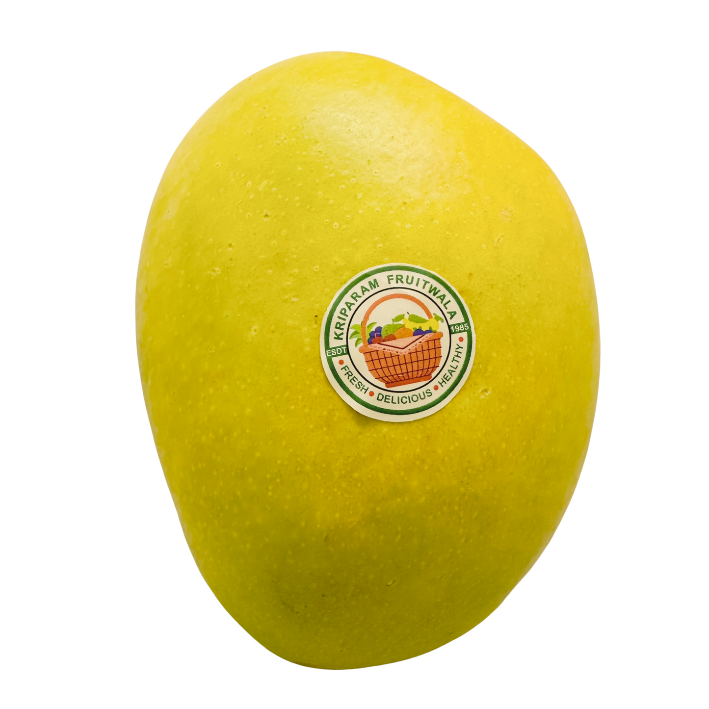 Alphonso (Hapus) Mango - Jumbo size