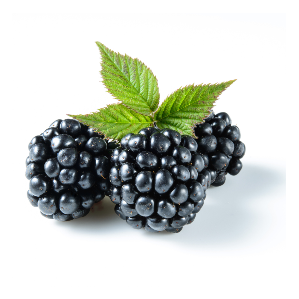 Blackberry (Imported)